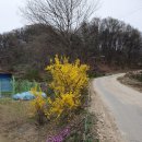 금동농장 이미지