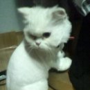 다래동물병원 이미지