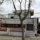 안동촌잉어찜
