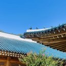 청와대 - 구례군 봉남길 21 | 청와대 방문후기 : 국민품으로 지난 25년 7월 방문