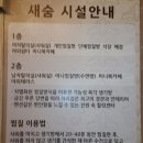 새숨생기방