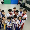 고려대 김세원 태권도 이미지