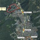 파인트리 이미지