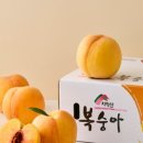 치악산농장 이미지