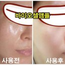 제이셀