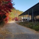 진주농장 이미지