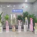 미래스크린골프 이미지