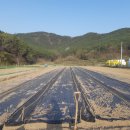 놀골농장 이미지