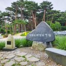 안면읍사무소 | 태안가볼만한곳 안면도자연휴양림 무장애나눔길(데크길)과 스카이워크