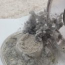 푸른마을세탁 이미지