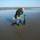 Razor Clam 잡기 이미지