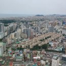서호동-51 티스토리