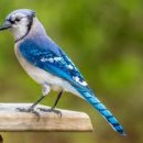 후평 주공6차 이미지