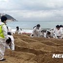 관광시설관리사업소 앞 이미지