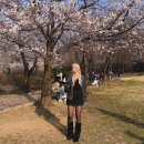 다임음악학원 | 쾌청 안쾌청