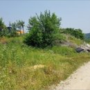 공성면 영오리 이미지