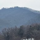 빈터 | 숲속의 빈터 방문 후기｜이름처럼 진짜 숲속에 들어온 기분