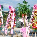 송호목장 이미지