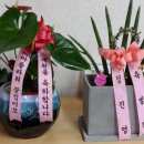 김미정헤어샵