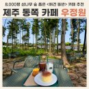 산들 강아지 | 우정원베이커리 제주삼나무점 동쪽 애견 동반 카페 솔직 후기