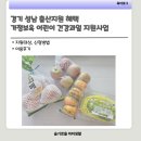 성남과일 | 경기 성남 출산지원 혜택, 건강과일꾸러미 신청방법 및 이용후기