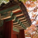 화양초등학교 앞 이미지