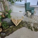 내대 1리 이미지