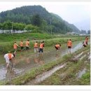 도새울마을 이미지