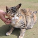 덕유산 순두부식당 이미지