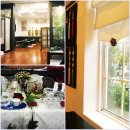 풀잎속의생명 이미지