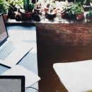 사회복지현장실습 이미지