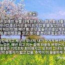 봄길 이미지