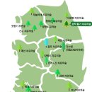 삼척활기치유의숲