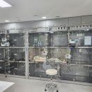 늘푸른동물병원 이미지