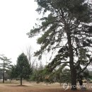 수원-1912 이미지