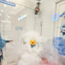 옥토넛키즈풀 대전도안점