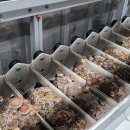 ㈜피앤피팜 이미지