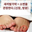 다섯발가락 이미지