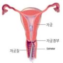 동탄서울내과의원 이미지