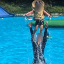 서면태권도장 | 수영장만 두 개?! 짚라인까지 있는 홍천 예담숲 캠핑장 솔직 후기-야외수영장 온수수영장 캠핑