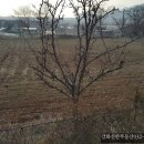 초지강화공인중개사사무소 이미지