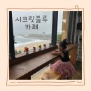 시크릿블루 카페&펜션 | 강원도 고성 비오는날 애견동반 내돈내산 후기 시크릿블루카페