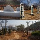 섬진강 매화 나루 네이버블로그