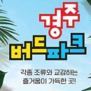 버드랜드카페체험