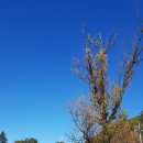 백두대간감자탕 이미지