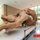 아천 문화관 이미지