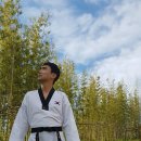 미르태권도 2관 이미지