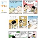 오늘의 `Netizen 시사만평` `08. 8. 12. [화]` 이미지