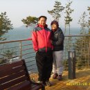 장진주유소 Daum카페