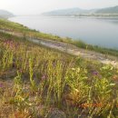 남한강변길 이미지